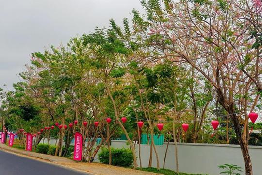 Lovely Room Oceanami Resort Long Hải Exterior foto